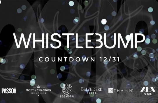 WHISTLEBUMP COUNTDOWN 2019