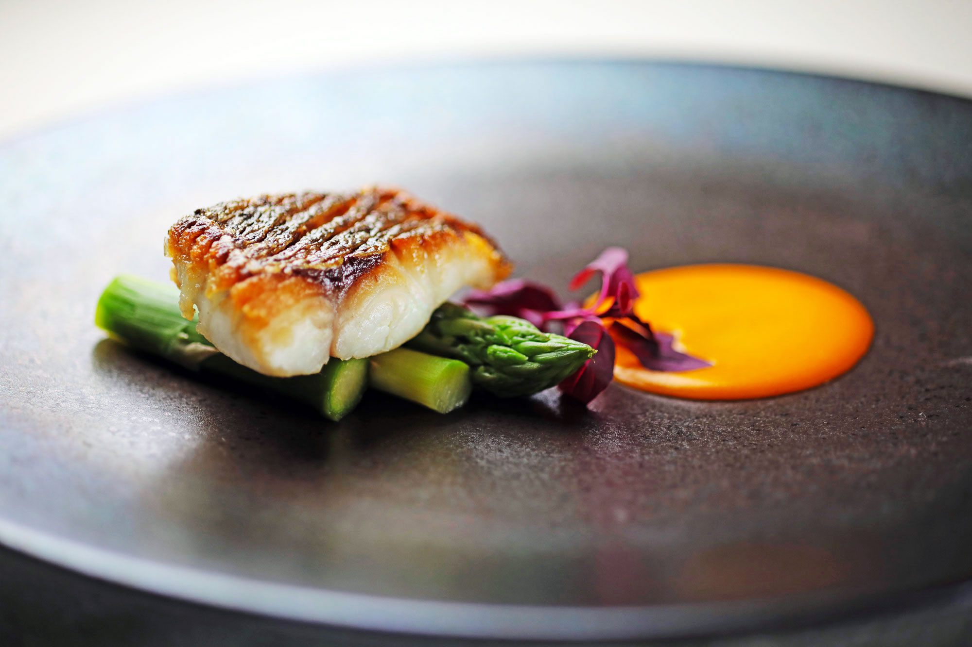 XEX ATAGO GREEN HILLS