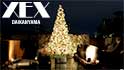 水辺にクリスマスツリーが登場しました＜XEX DAIKANYAMA / The BAR＞
