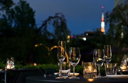 神宮外苑花火大会2018特別プラン