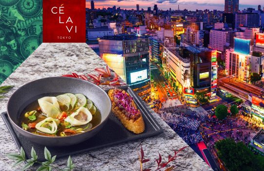 2019年11月25日(月)CÉ LA VI TOKYOの予約受付を開始いたします